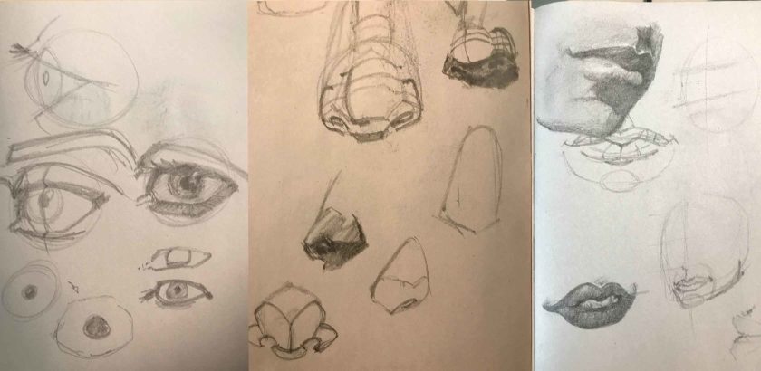 Graphite sketches of eyes, noses, mouths.