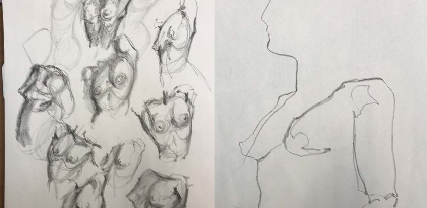 Torso Sketches and Blind Contour Drawing